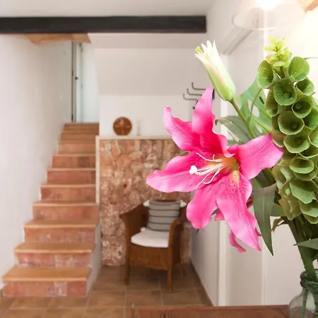 Son Montserrat Holiday home